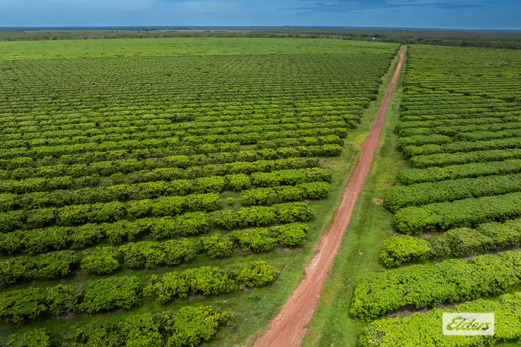 Sixth view of Homely rural property listing, Address available on request