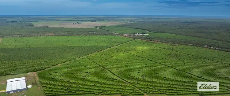 Seventh view of Homely rural property listing, Address available on request