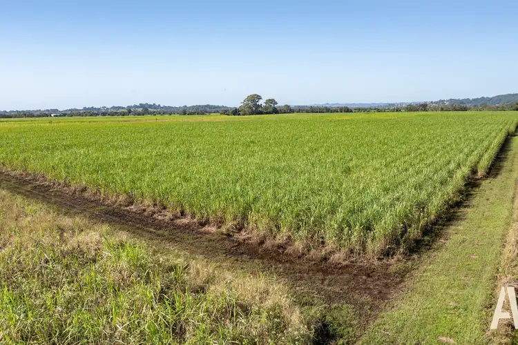 Third view of Homely land listing, LOT 5, 164 River Road, Maroochy River QLD 4561
