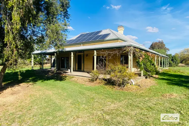 167 Buraja Road, Lowesdale NSW 2646