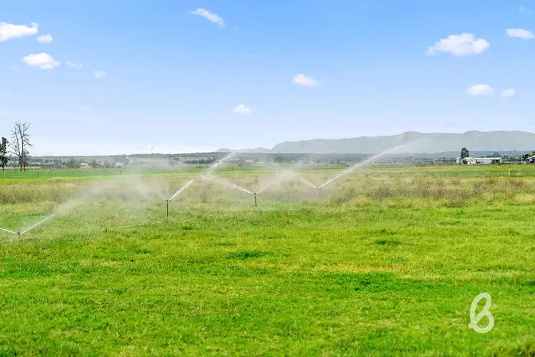 Lot 114 Neotsfield Lane, Singleton NSW 2330