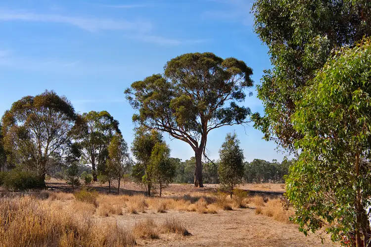Fifth view of Homely house listing, 379 Sinclairs Road, Longlea VIC 3551