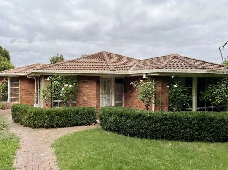 Main view of Homely house listing, 16 Erasmus Street, Surrey Hills VIC 3127