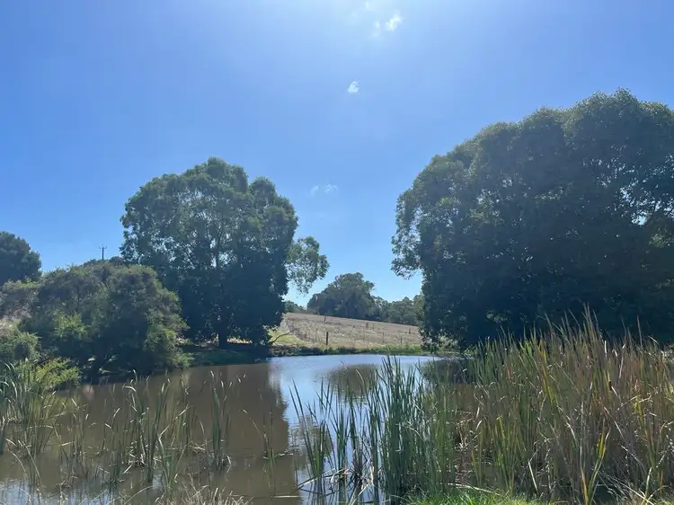 Second view of Homely rural property listing, 274 Dingup Road, Manjimup WA 6258