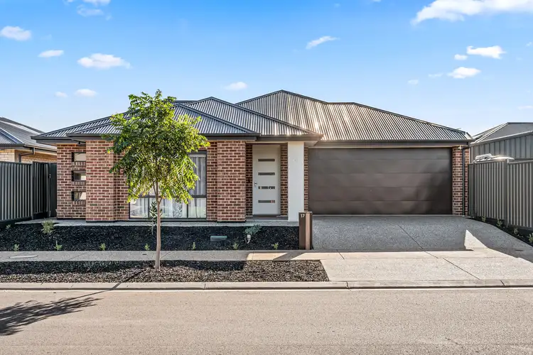 17 Musico Street