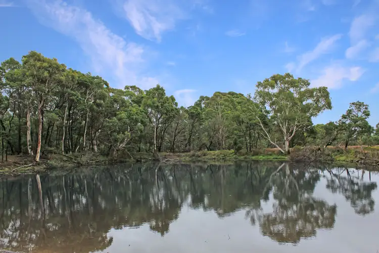 Fifth view of Homely rural property listing, 272 Inverary Road, Paddys River NSW 2577