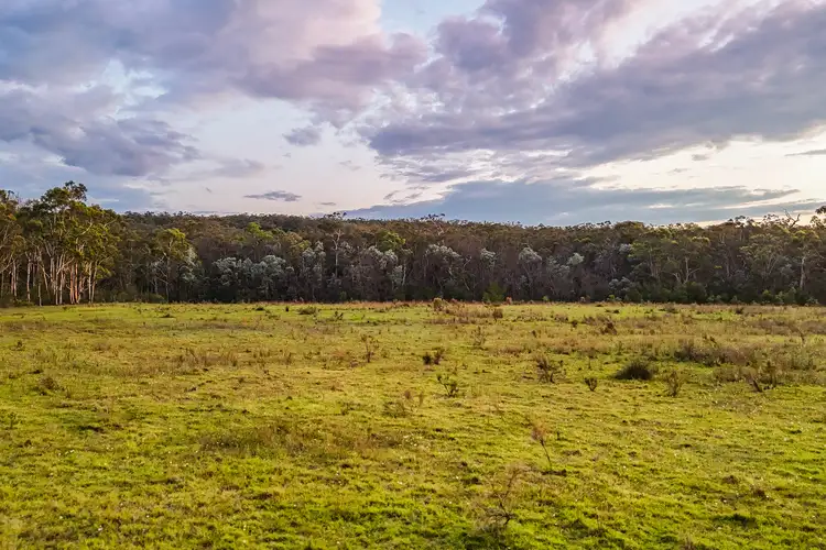Sixth view of Homely rural property listing, 272 Inverary Road, Paddys River NSW 2577