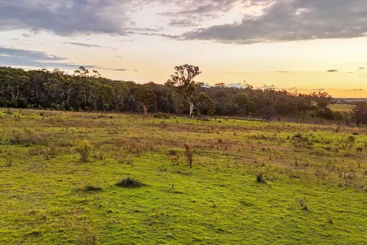 Seventh view of Homely rural property listing, 272 Inverary Road, Paddys River NSW 2577
