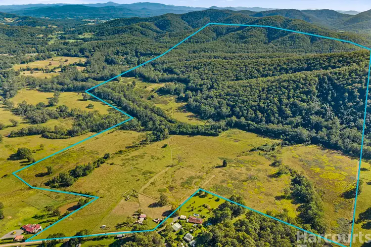Main view of Homely rural property listing, 41 Fishers Ridge, Bellangry NSW 2446