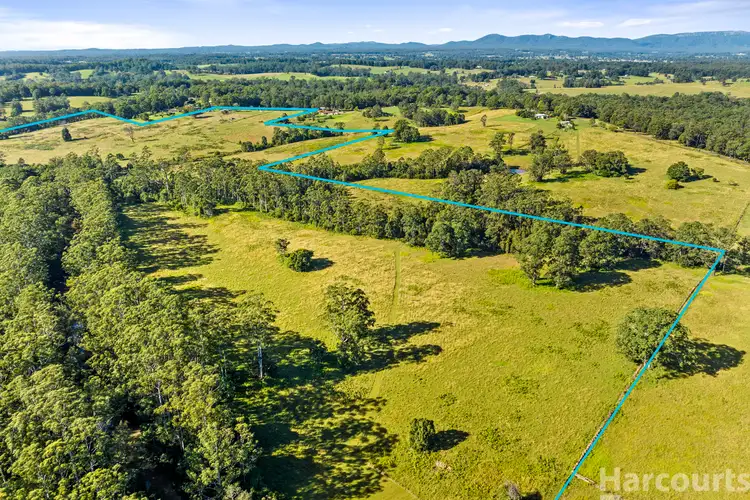 Fifth view of Homely rural property listing, 41 Fishers Ridge, Bellangry NSW 2446