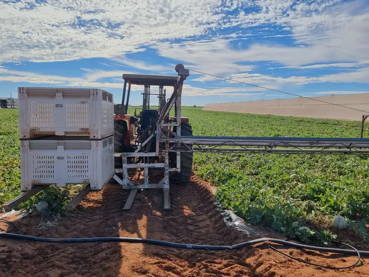 Fourth view of Homely rural property listing, 138 North River Road, North Plantations WA 6701