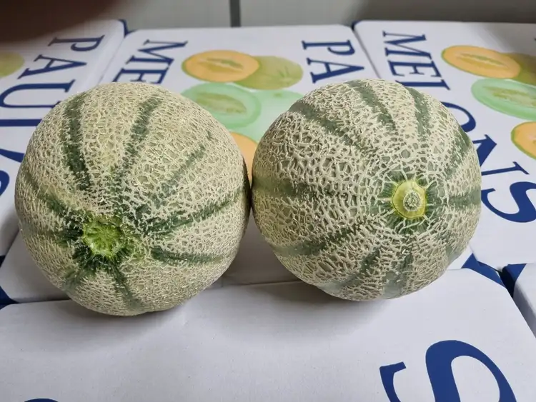 Seventh view of Homely rural property listing, 138 North River Road, North Plantations WA 6701