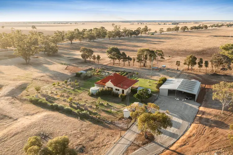 Main view of Homely house listing, 384 Charlton-Borung Road, Borung VIC 3518