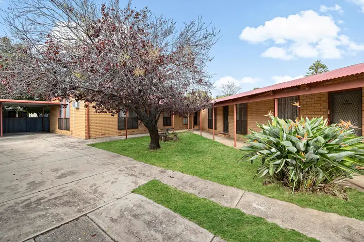 3/41 Chatham Road