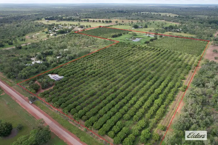Seventh view of Homely rural property listing, 35 Hendry Road, Katherine NT 850