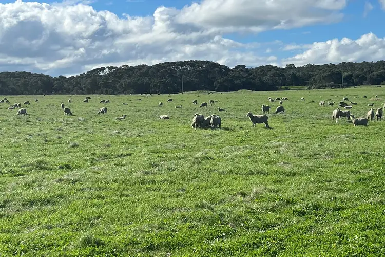 Third view of Homely rural property listing, 181 Francis Road, Lowlands WA 6330