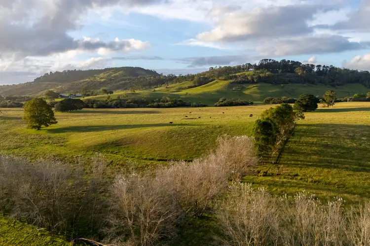 Seventh view of Homely rural property listing, 7300 Illawarra Highway, Sutton Forest NSW 2577