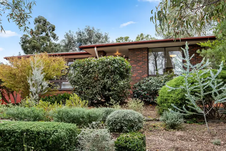 20 Meadow Avenue, Hawthorndene SA 5051