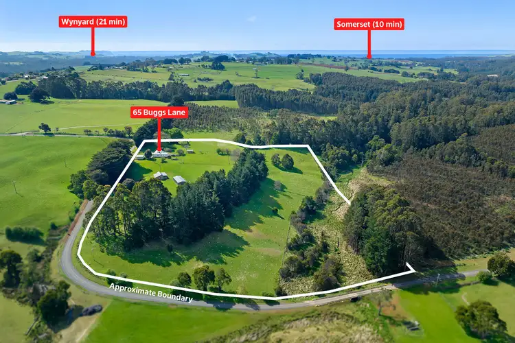 Second view of Homely house listing, 65 Buggs Lane, Elliott TAS 7325