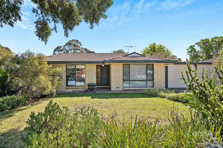 15 Edith Street, Morphett Vale SA 5162