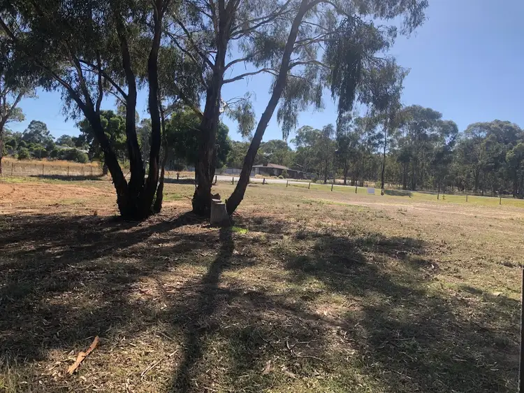 Main view of Homely rural property listing, LOT 1, 1849 Maryborough Dunolly Road, Dunolly VIC 3472