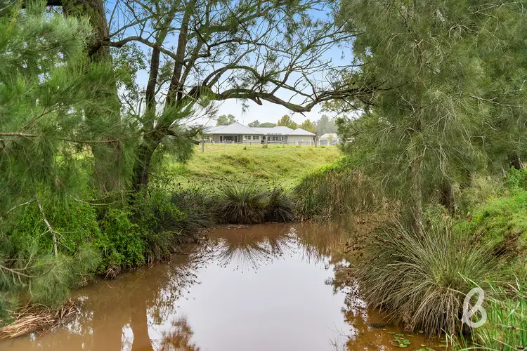 Fifth view of Homely rural property listing, 1401 Bridgman Road, Singleton NSW 2330