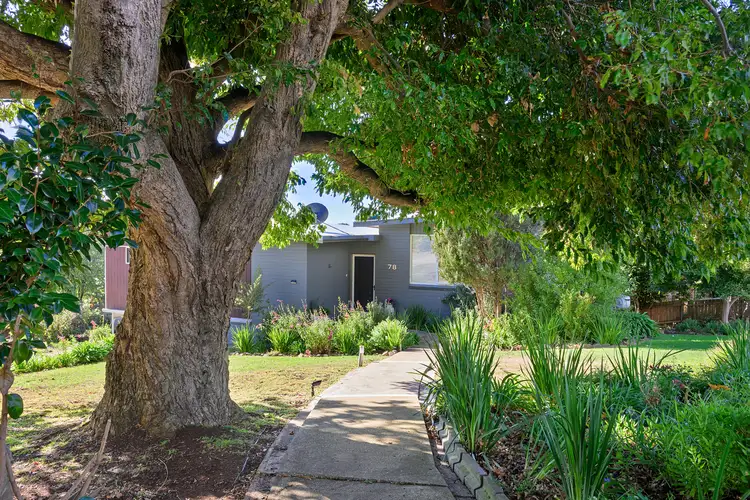 Second view of Homely house listing, 78 West Park Grove, Park Grove TAS 7320