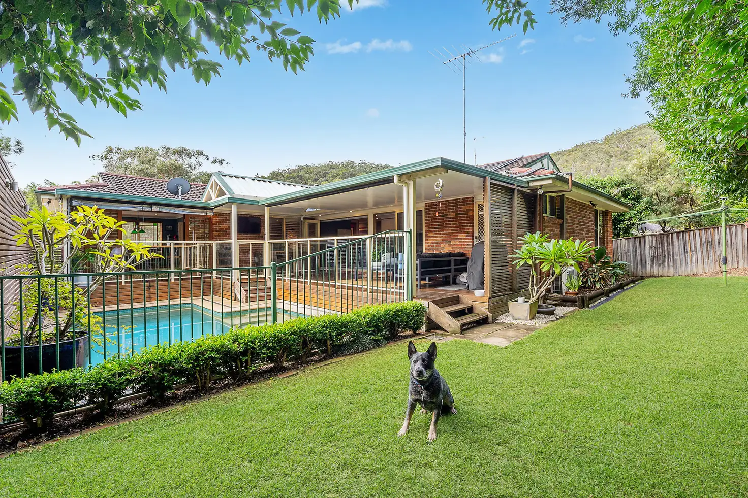 Main view of Homely house listing, 5 Mary Wall Crescent, Berowra NSW 2081