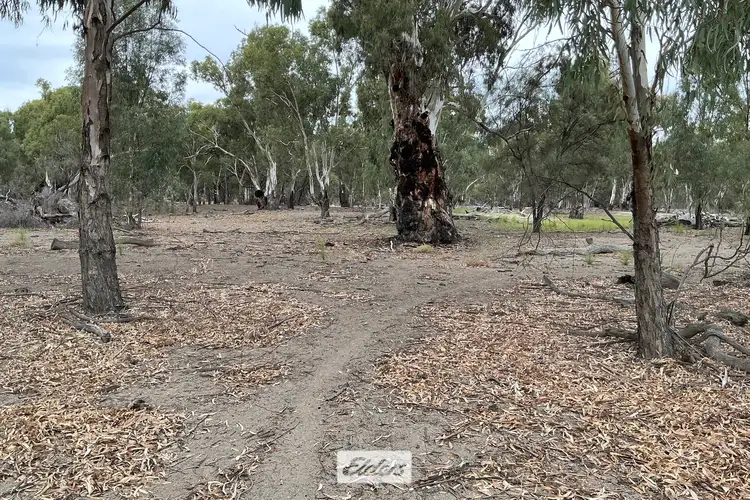Sixth view of Homely rural property listing, 733A Cal Lal Road, Wentworth NSW 2648
