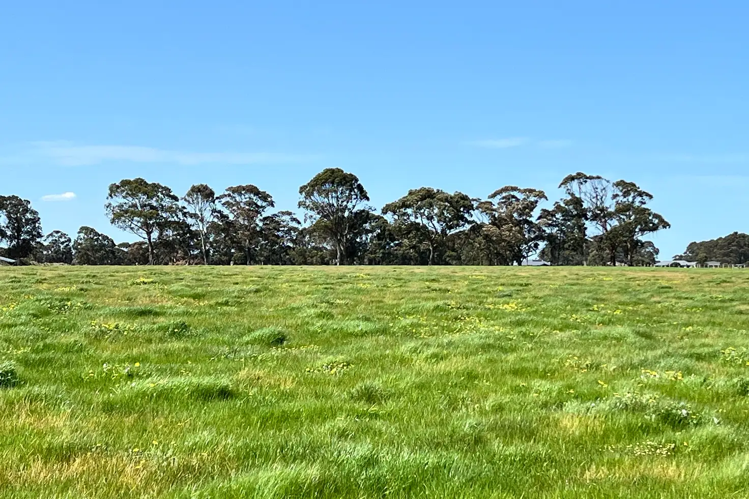 Main view of Homely land listing, LOT 255 STAGE 2 - Albany Views Private Estate - Albany Views Private Estate, Drome, Albany WA 6330