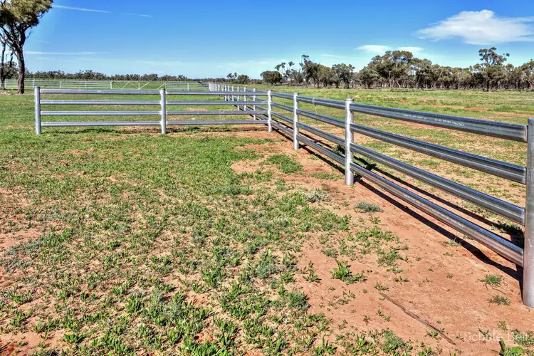 Narran Lake Road, Brewarrina NSW 2839
