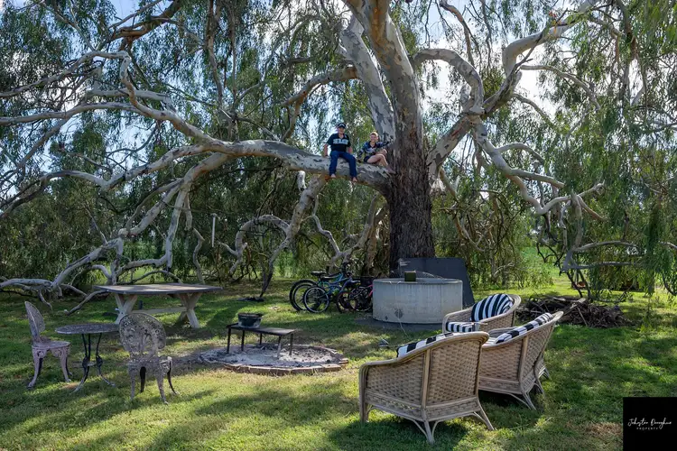 Fifth view of Homely rural property listing, 10298 Kamilaroi Highway, Gunnedah NSW 2380