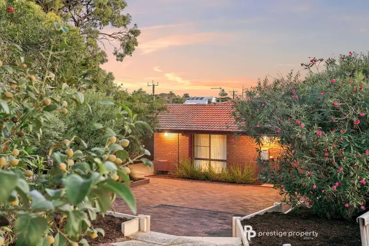 1B Macleay Drive, Padbury WA 6025