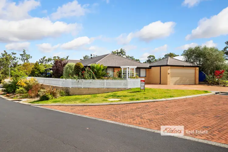 46 Nicolay Approach
