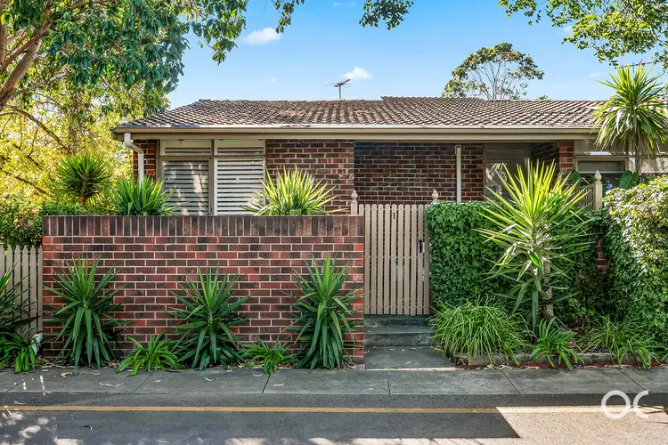 1/64 Charles Street, Norwood SA 5067