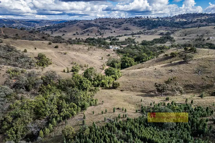 782 Yarrabin Road, Yarrabin NSW 2850