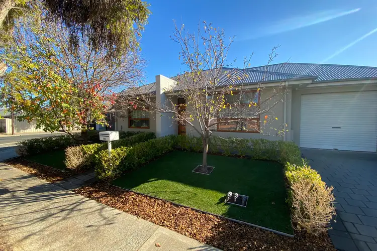 49 Allison Street, Ascot Park SA 5043