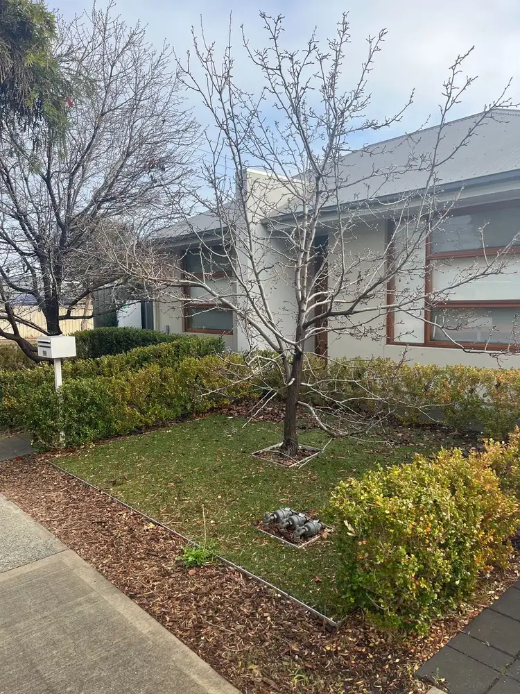 49 Allison Street, Ascot Park SA 5043