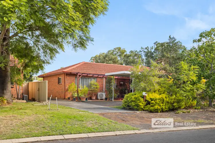 Main view of Homely house listing, 29 Maslin Street, Capel WA 6271