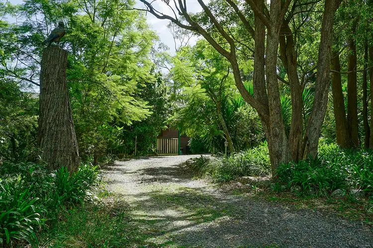 Fifth view of Homely rural property listing, 557 Moonabung Road, Vacy NSW 2421