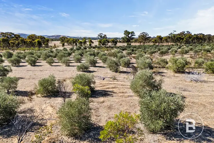 Sixth view of Homely house listing, 3320 Ararat - St Arnaud Road, Navarre VIC 3384