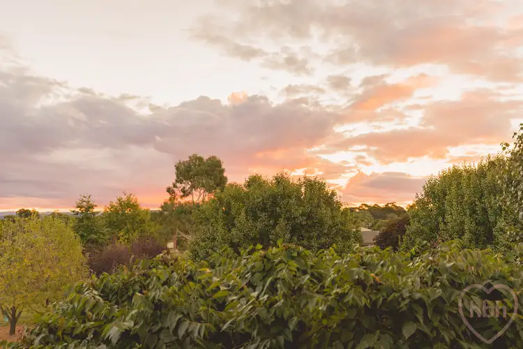 Fifth view of Homely house listing, 25 Ada Evans Street, Watson ACT 2602