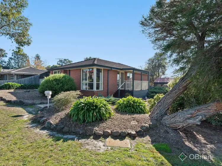 Main view of Homely house listing, 3 Warrin Rise, Langwarrin VIC 3910