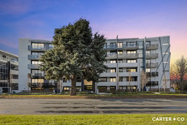 10/115 Canberra Avenue, Griffith ACT 2603