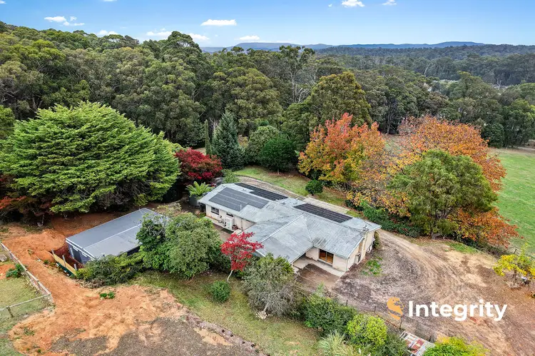 Sixth view of Homely rural property listing, 260 Old Toolangi-Mt Slide Road, Toolangi VIC 3777
