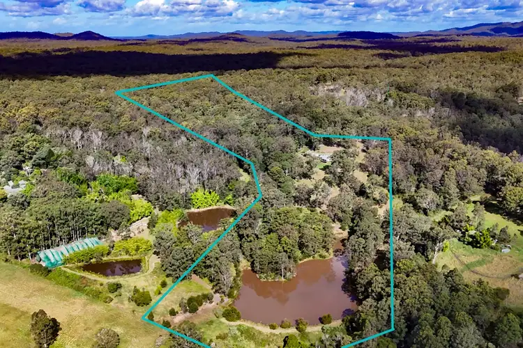 Fifth view of Homely rural property listing, 87 Averys Lane, Dondingalong NSW 2440