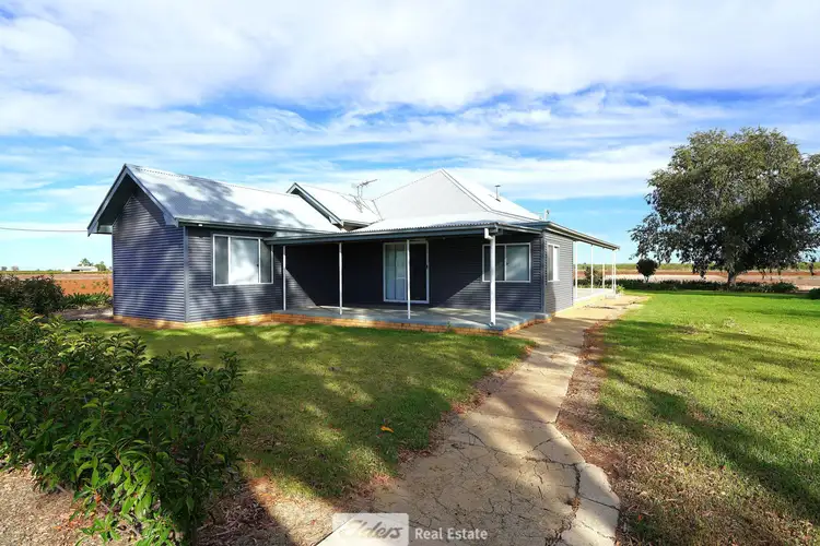 Main view of Homely house listing, 101 Sainty Road, Hanwood NSW 2680
