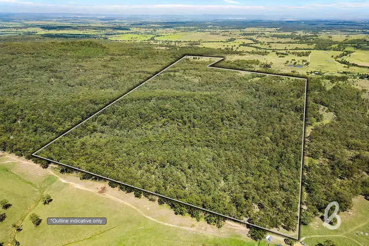 Second view of Homely rural property listing, Site 10 Blind Creek Road, Glendon Brook NSW 2330