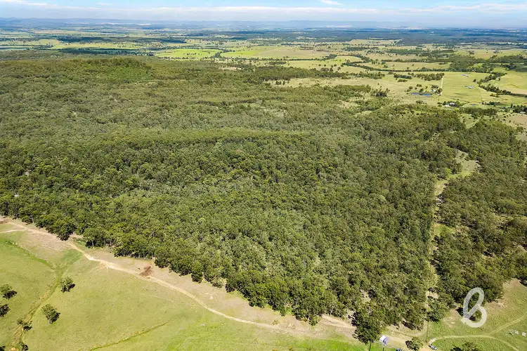 Seventh view of Homely rural property listing, Site 10 Blind Creek Road, Glendon Brook NSW 2330