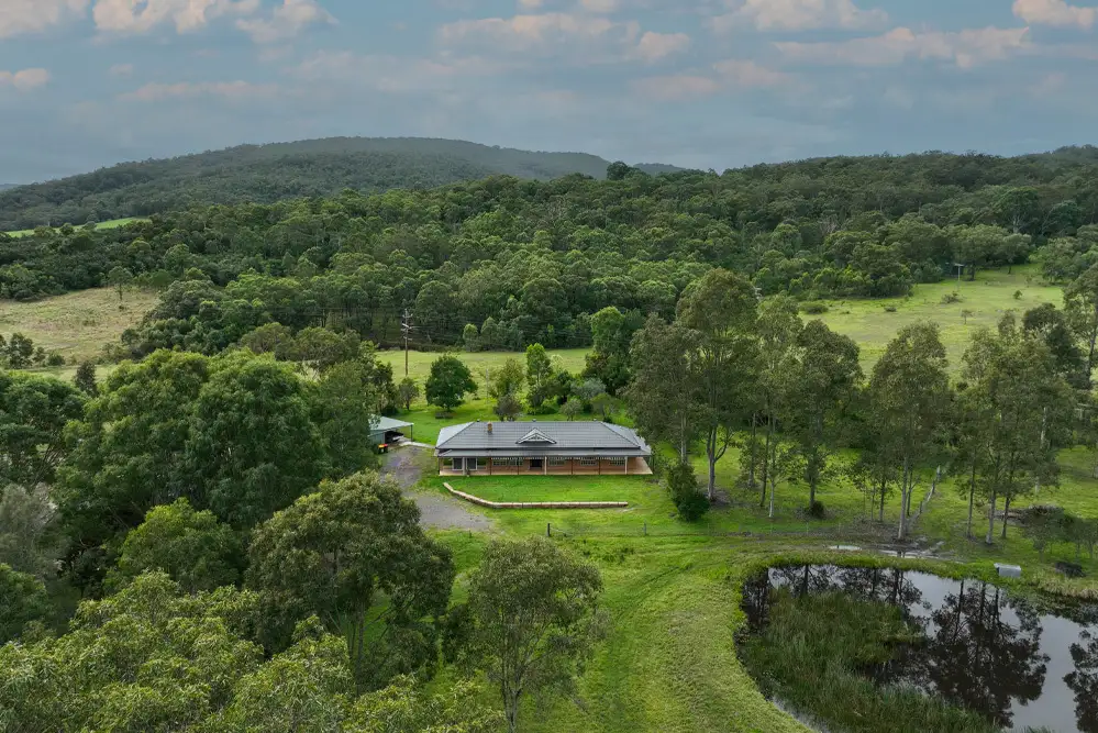 Main view of Homely rural property listing, 1494 Paterson Road, Duns Creek NSW 2321